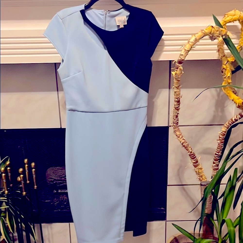Colorblock Sheath Dress